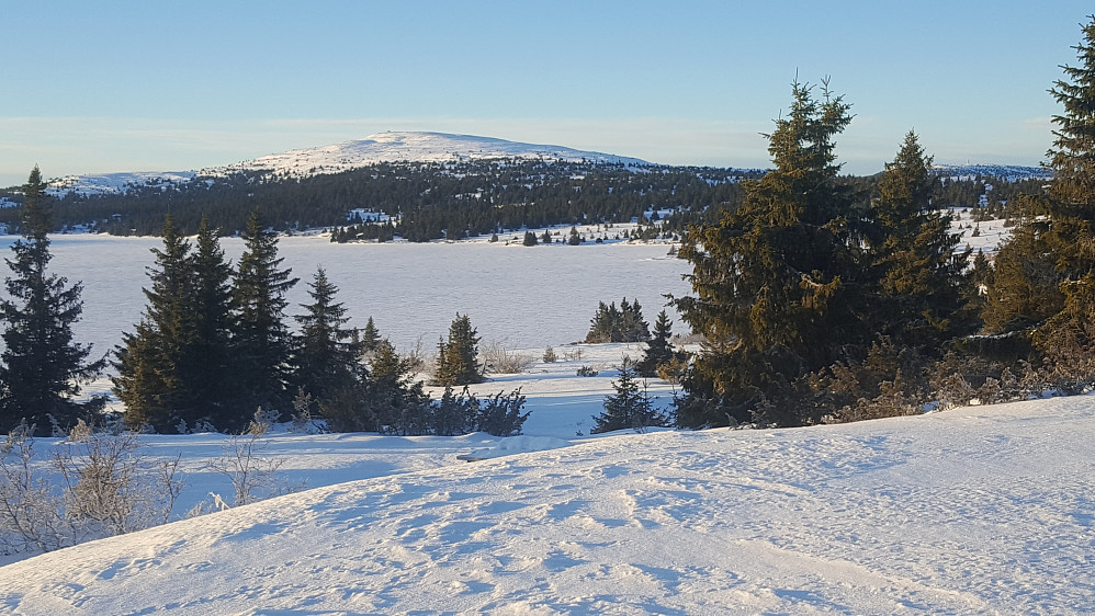 Nevelfjell! 