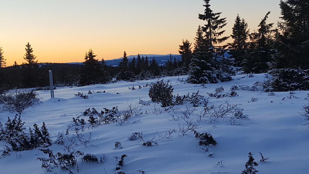 Mot Synnfjellet
