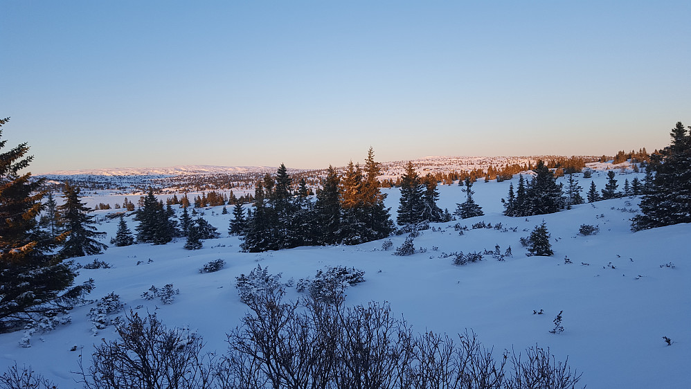 Mot Reinsfjellet og Kriksfjellet
