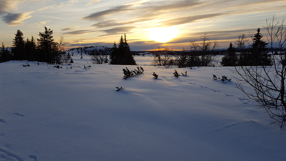 På Nysætervegen