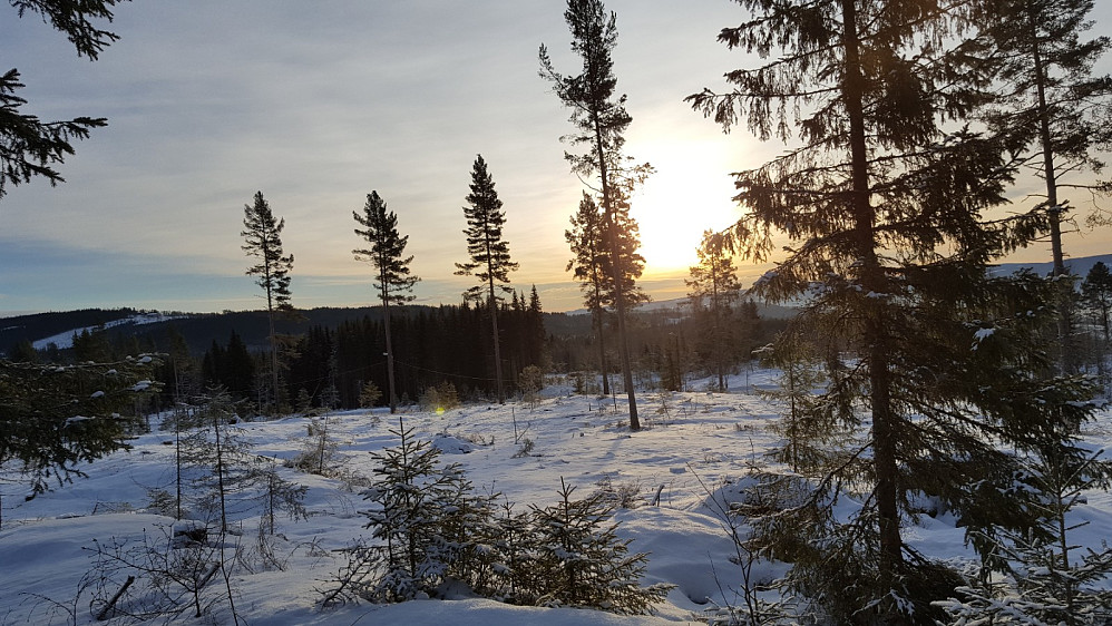 Klar til å ake ned igjen på lysløypa