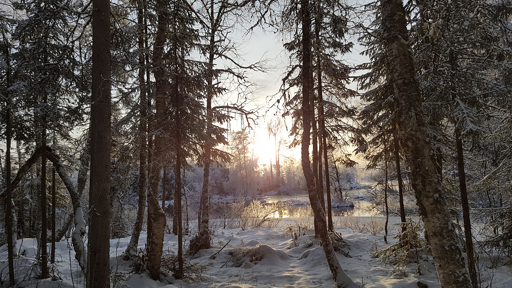 Ved Mesnaelva