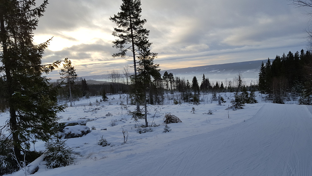 Ser ned på lysløypa og Mjøsa