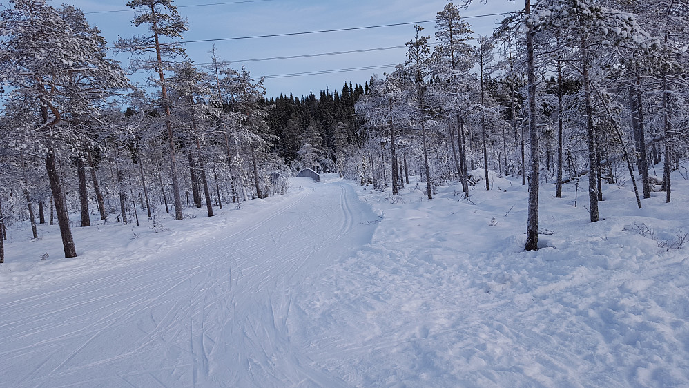 Ved Kubruveita