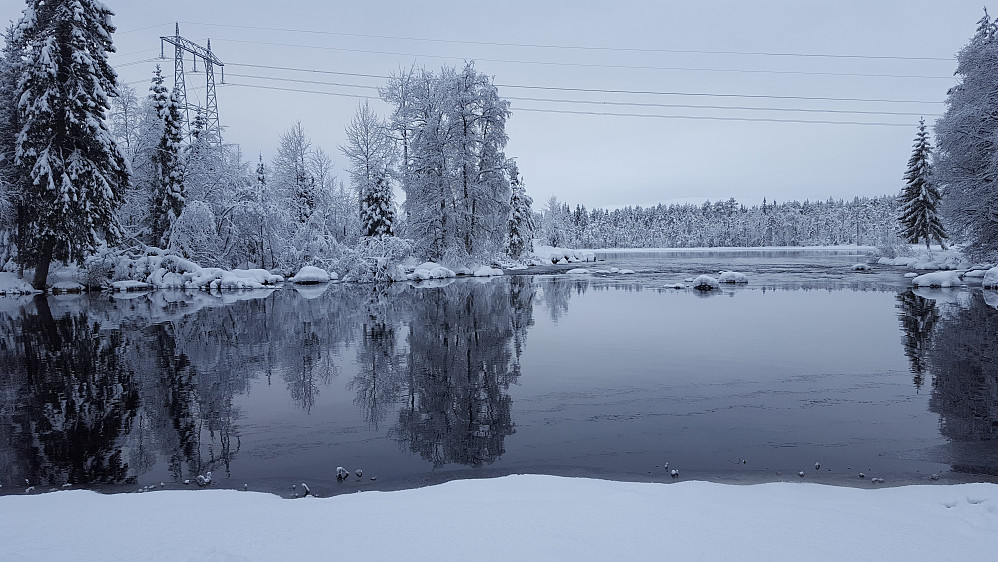 Mesnaelva