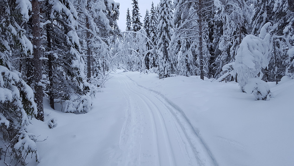Langs scooterløypa