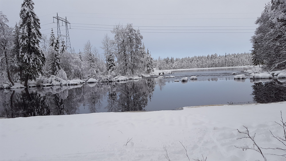 Langs Mesnaelva