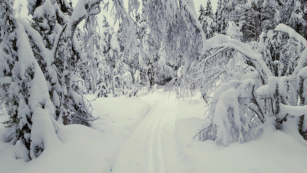 Eventyrskog