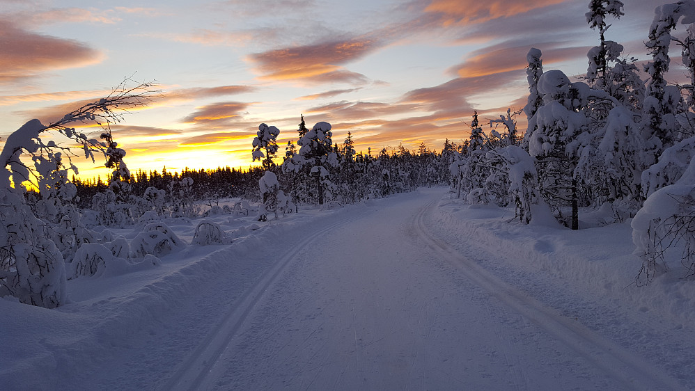 Skiløypa mot Bottilmyra