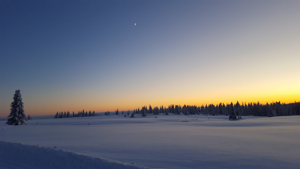 Solnedgang og en liten måne på Nordseter
