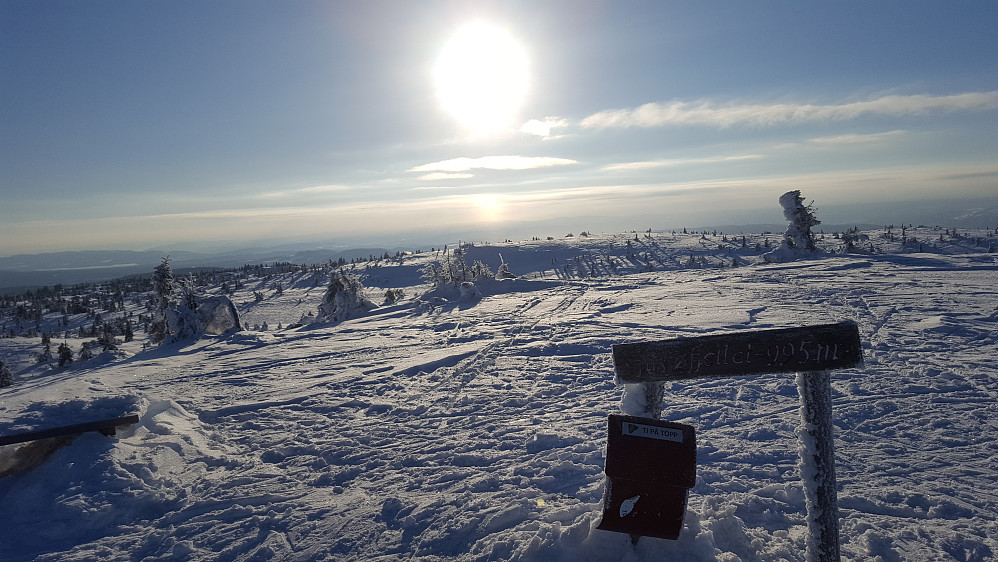 På Sjusjøfjellet