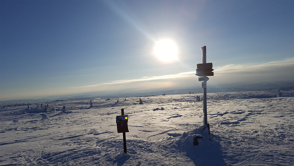 På Lunkefjell