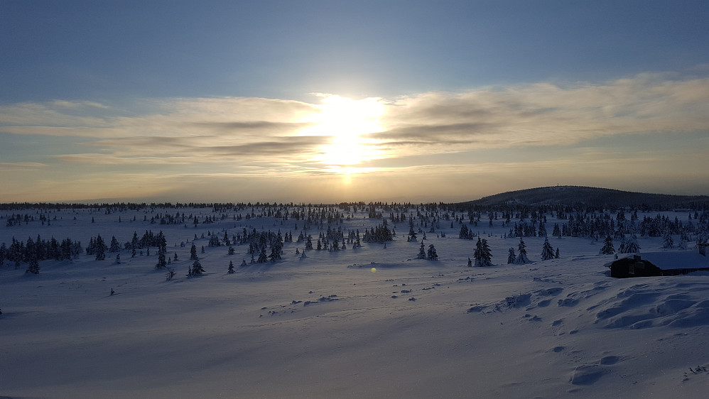 På Løvisåsen