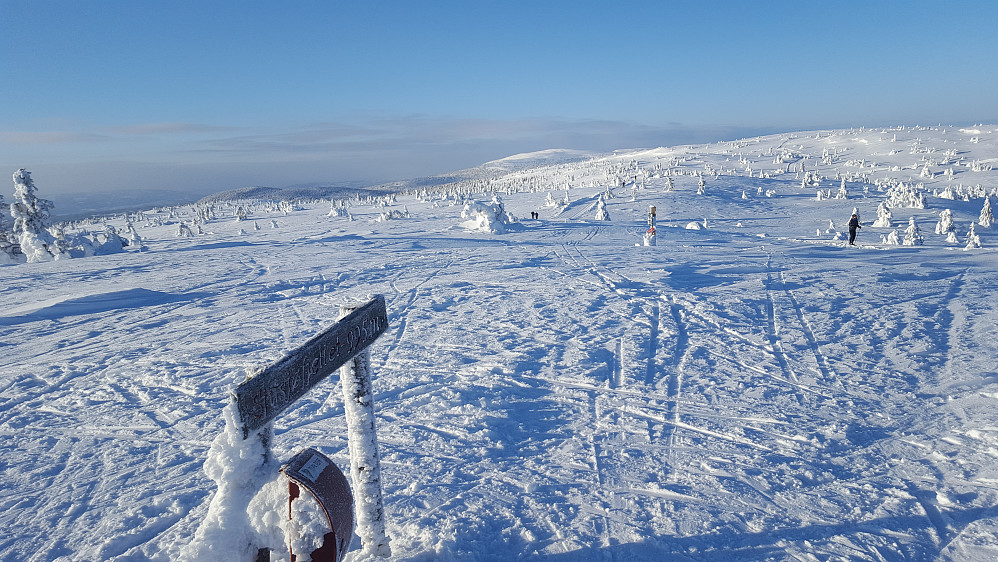 På Sjusjøfjellet