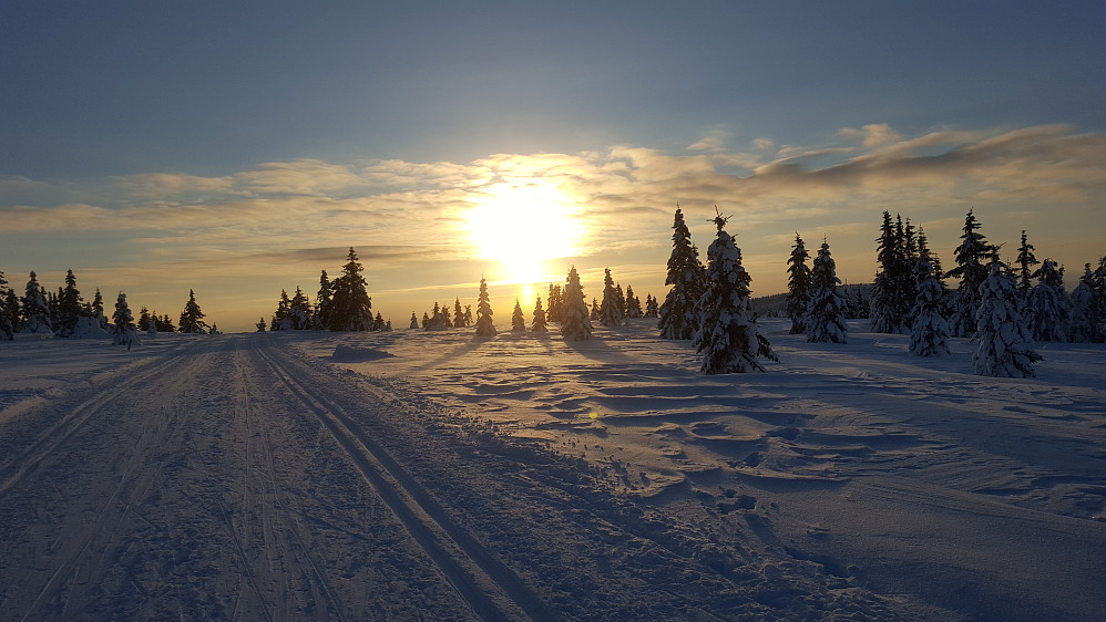 Snart tilbake på Nordseter