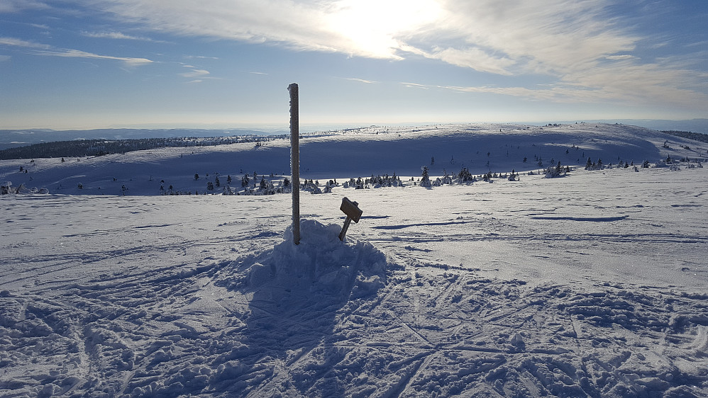På Mostfjell