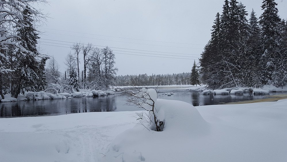 Birkebeinerløypa/Ingalåmi ved Mesnaelva