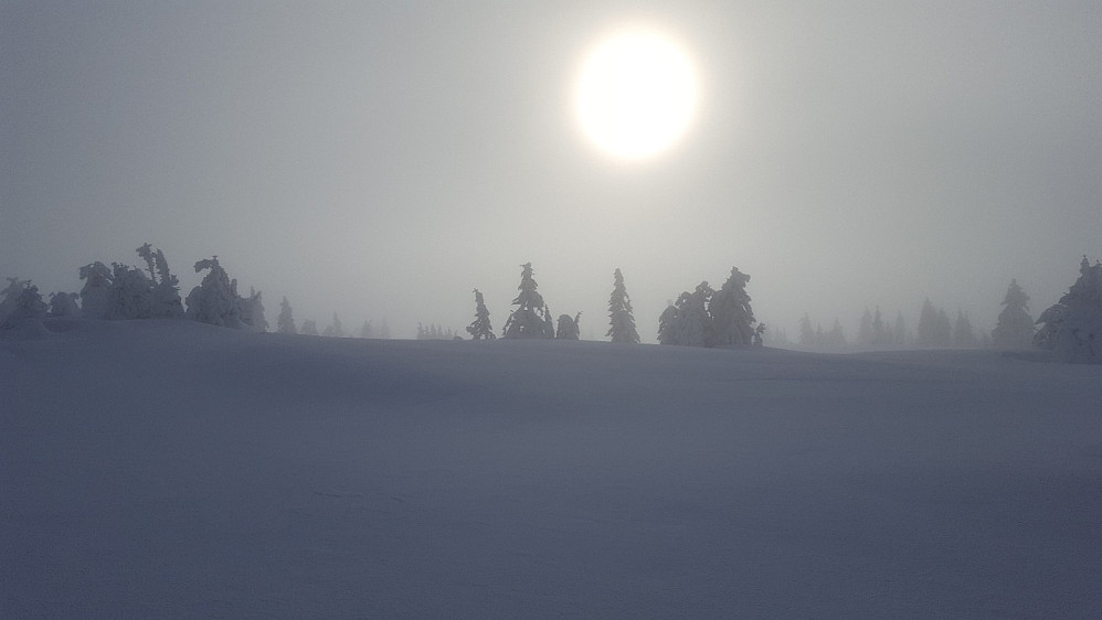 På Gjestebodåsen