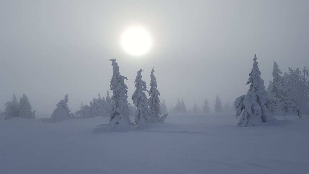 På Gjestebodåsen