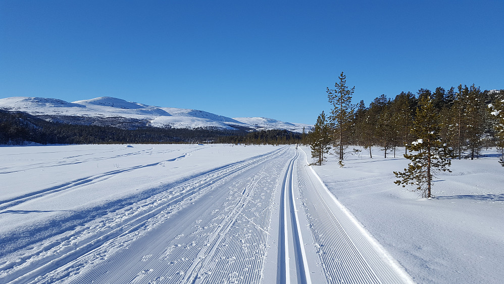 Strålende vær