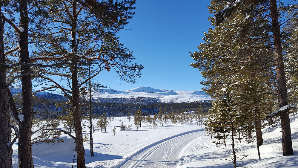 Strålende vær