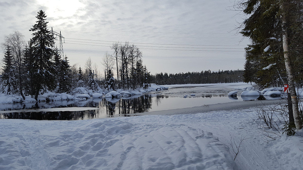 Ved Mesnaelva