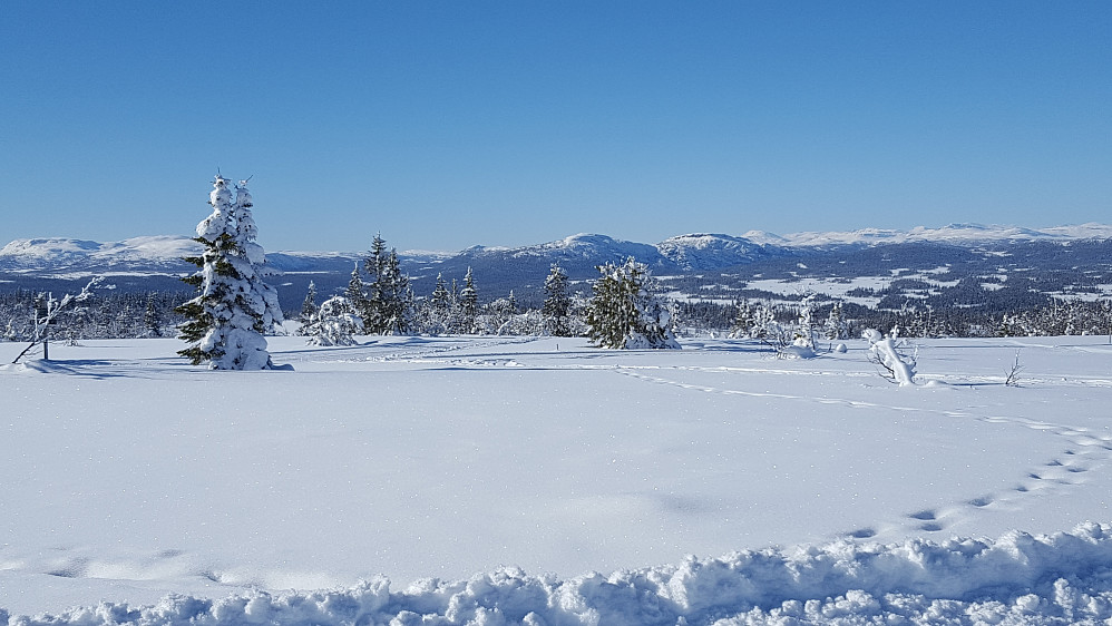 På Værskei
