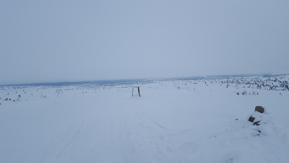 På Sjusjøfjellets utsiktspunkt