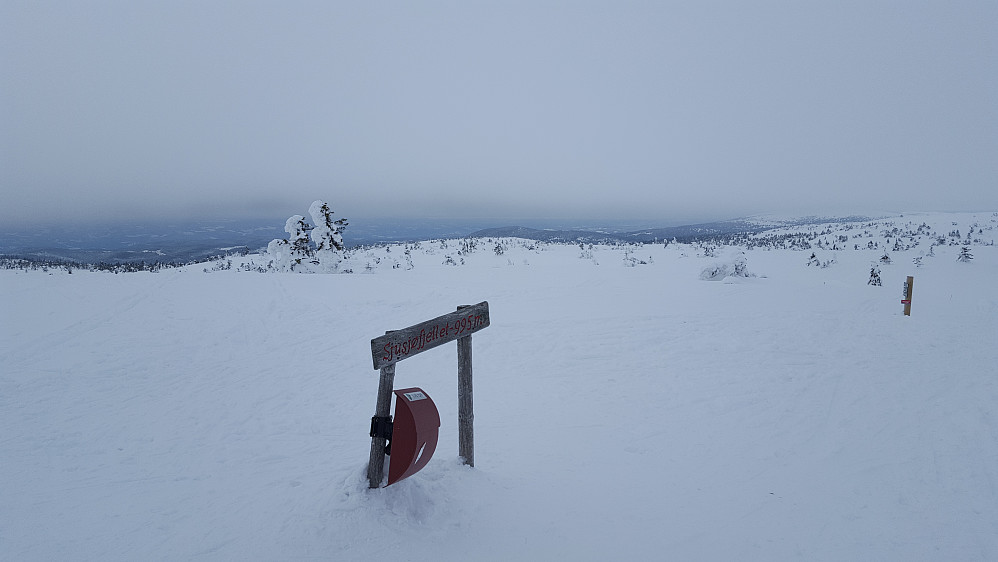 På Sjusjøfjellet