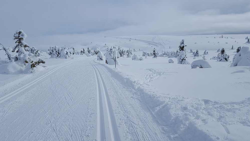 Flott innover mot Lunkefjell