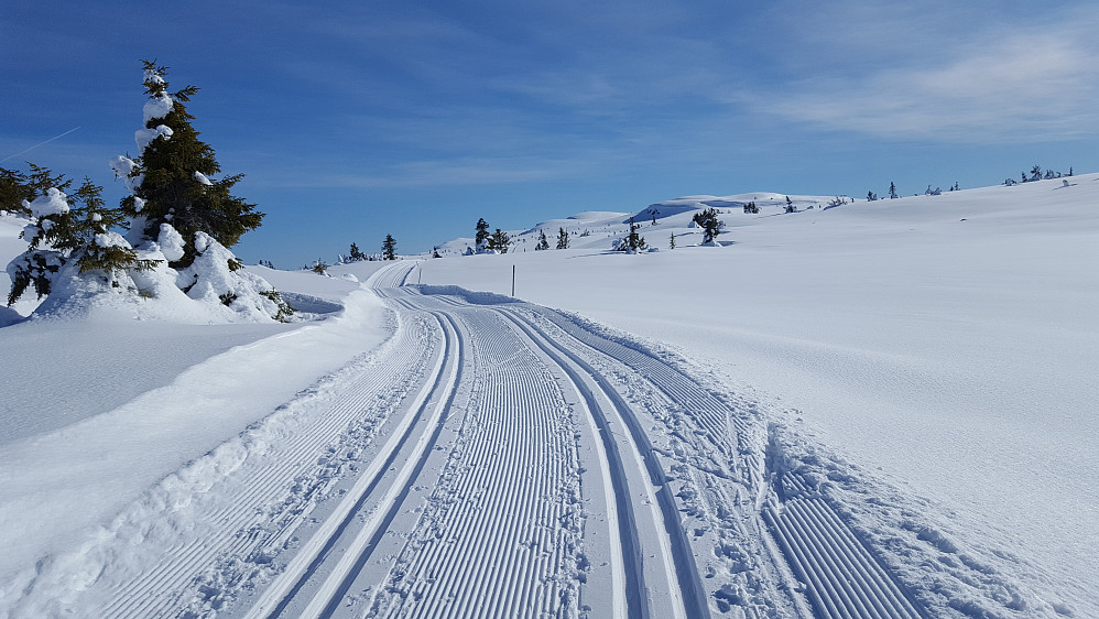 Innover Skjelbreidsfjellet
