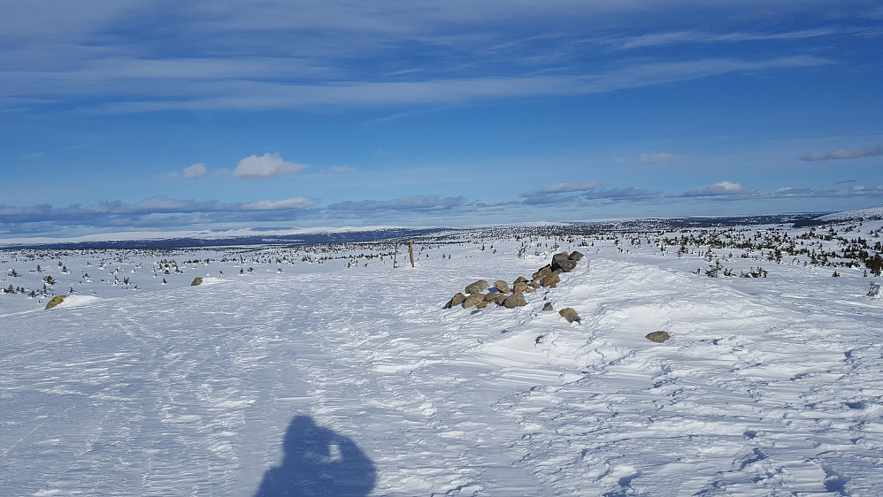 På Sjusjøfjellet
