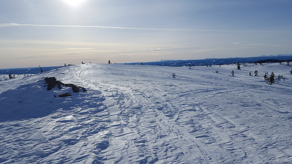 På Sjusjøfjellet
