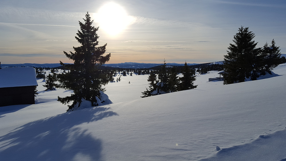 På Sjusjøfjellet