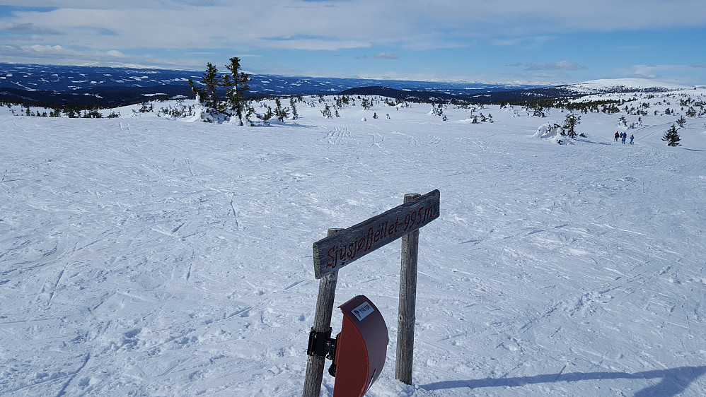 På Sjusjøfjellet