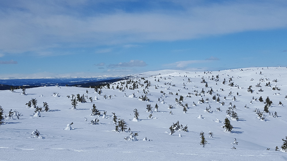 På Sjusjøfjellet