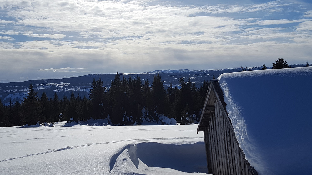 På Rindåsen, mot Skjelbreidsfjellet