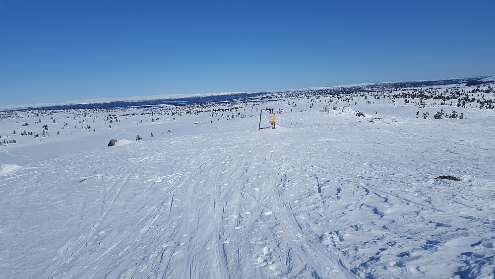 På Sjusjøfjellet