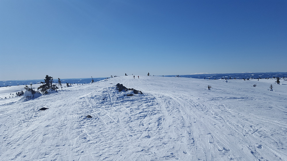 På Sjusjøfjellet