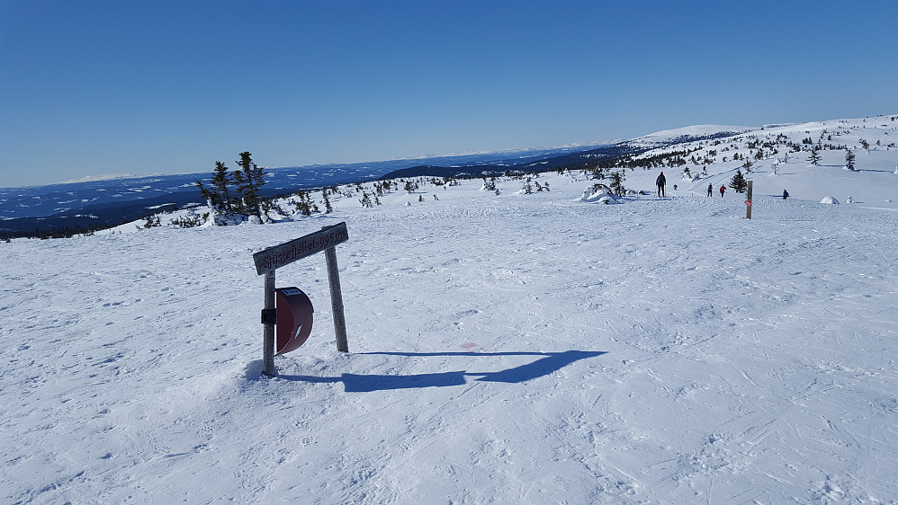 På Sjusjøfjellet