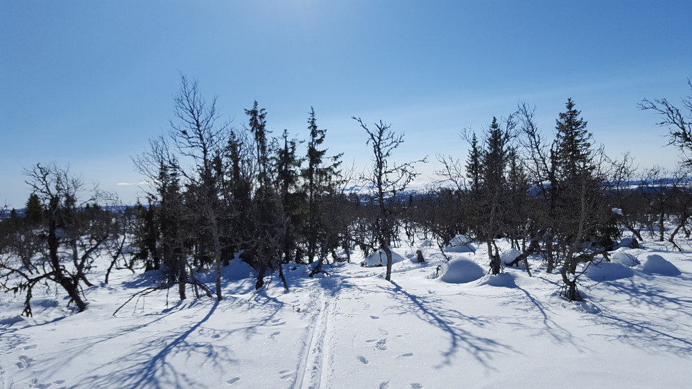 På Værskeitoppen