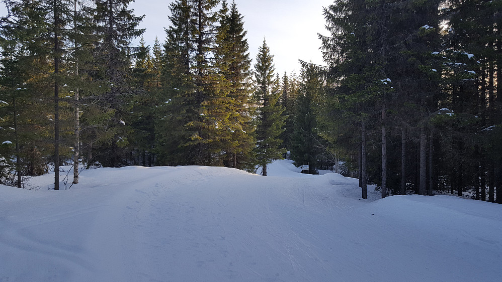 På Kanthaugen