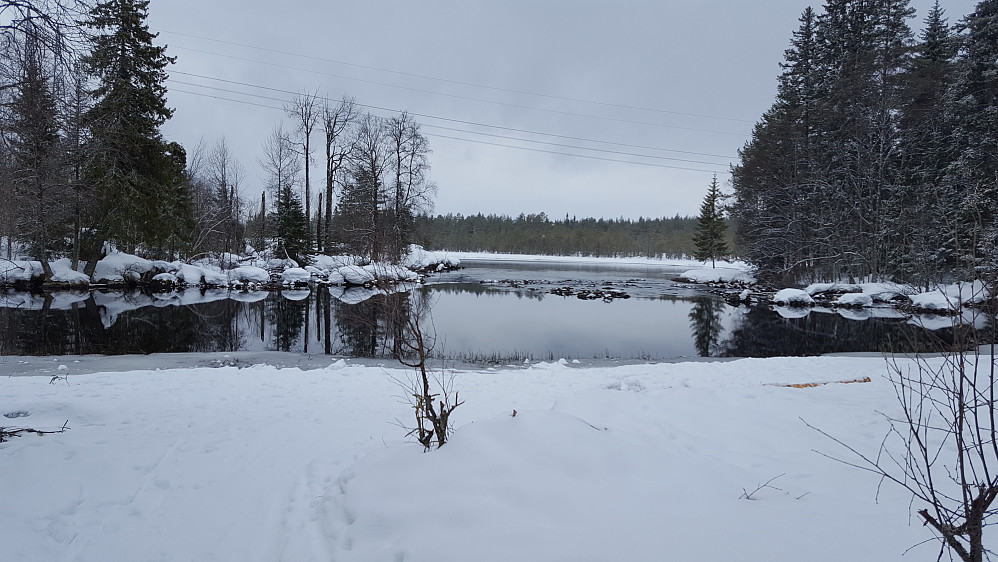 Ved Mesnaelva