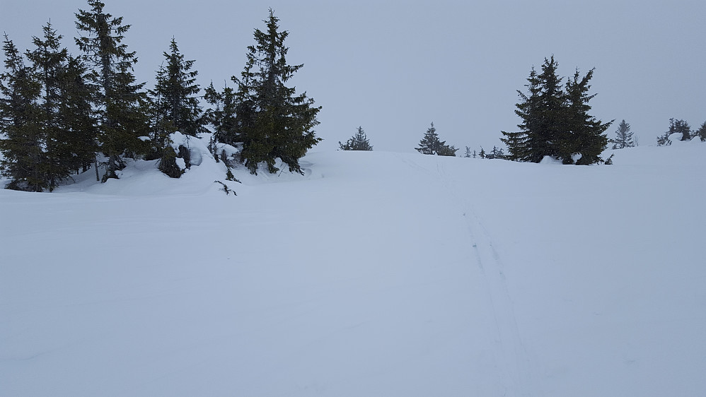 På Gjestebodåsen