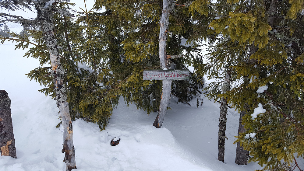 På Gjestebodåsen