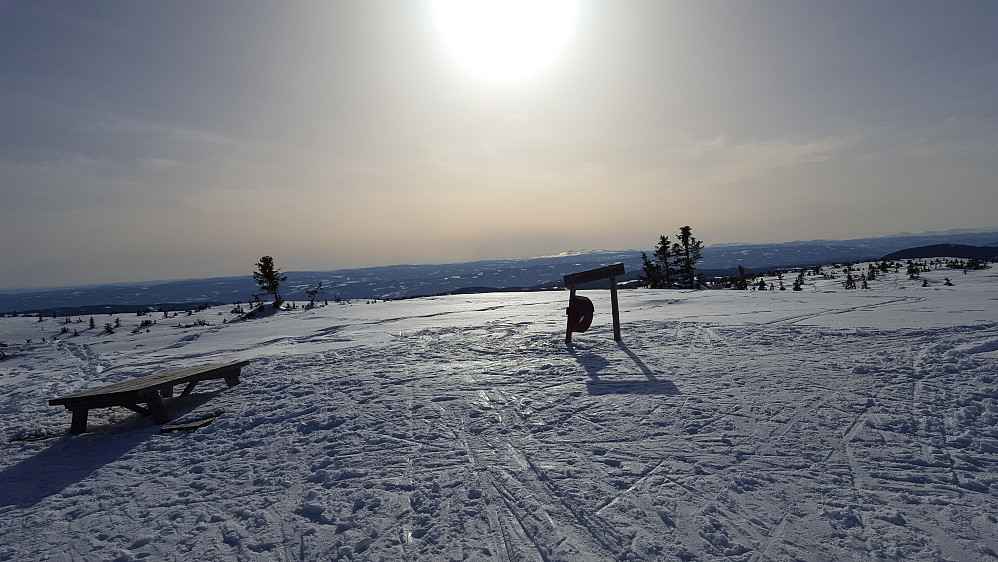 På Sjusjøfjellet