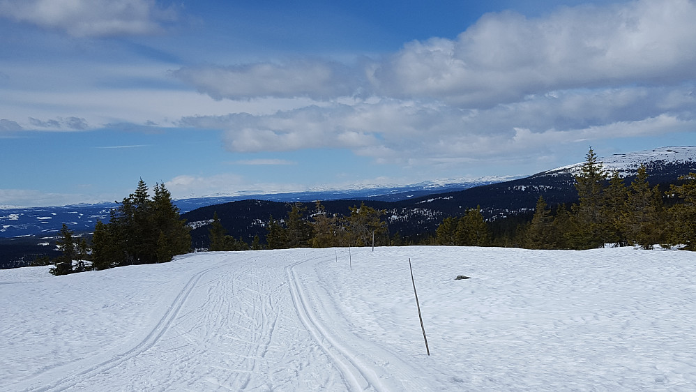  Ved Appelsinhaugen