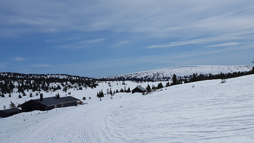 Snørvillen fra Gjestebodåsen
