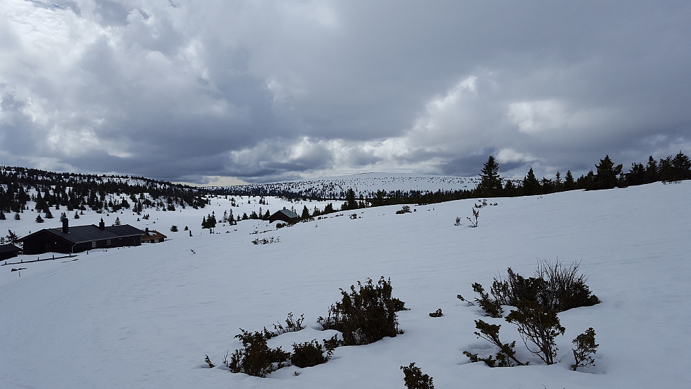 Gjestebodåsen

