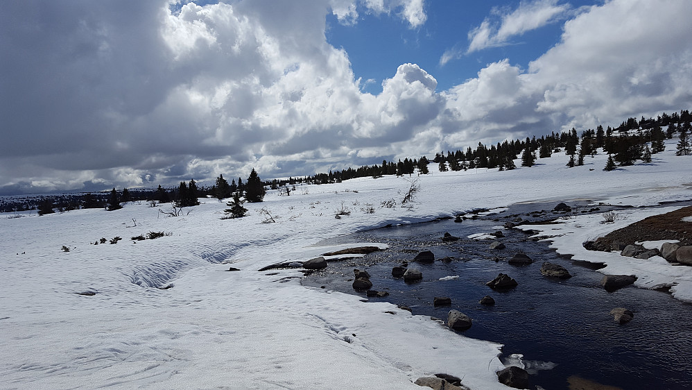 Ved Kroksjøen
